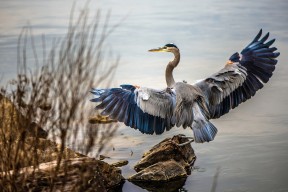 九游电竞平台官网-各地足球文化节掀起全民运动新高潮，足球文化节标语