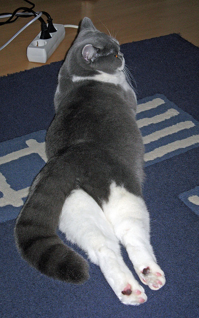 传奇“逆袭”故事:从低谷到巅峰的励志传奇,关于传奇励志的古装剧